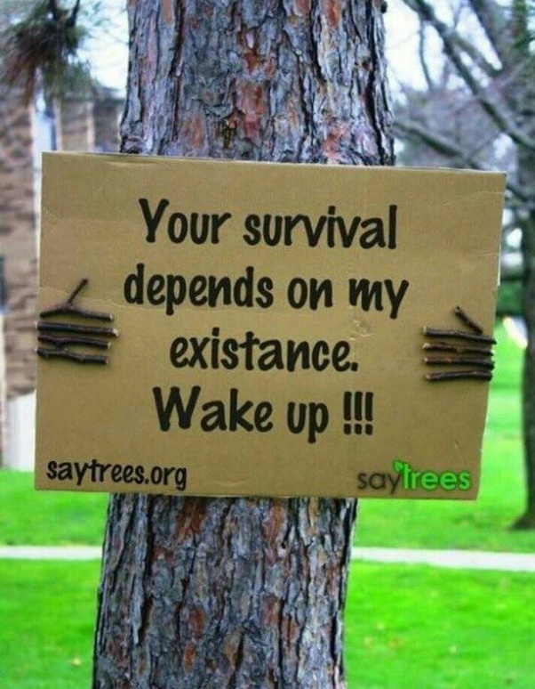 Savetrees.org